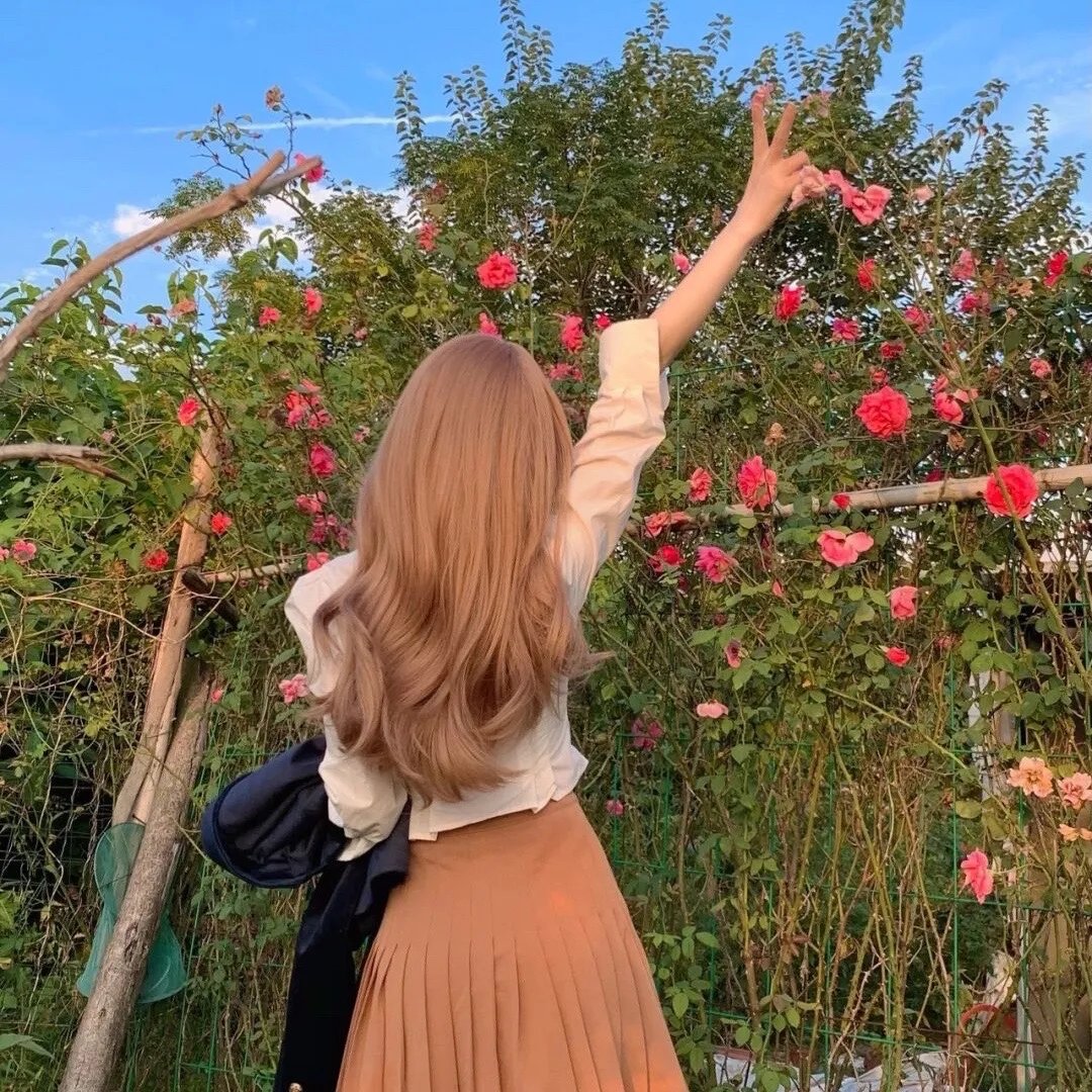 巴赫曼：沙漠之旅